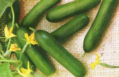夏天黄瓜的几种健康吃法